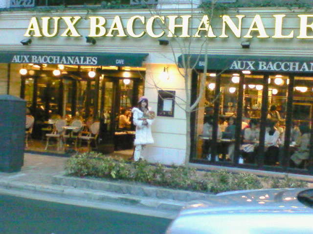 ドッグカフェ Aux Bacchanales 銀座 リーズ姫のバラ色の日々