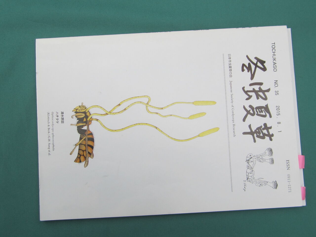 冬虫夏草 を見る ジョナサンも行く 冬虫夏草 を見る ジョナサンも行く