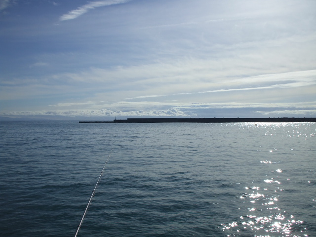 カゴ釣り 高知新港 混沌の渦