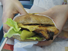 Carl's Jr