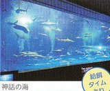 神話の海@アクアス