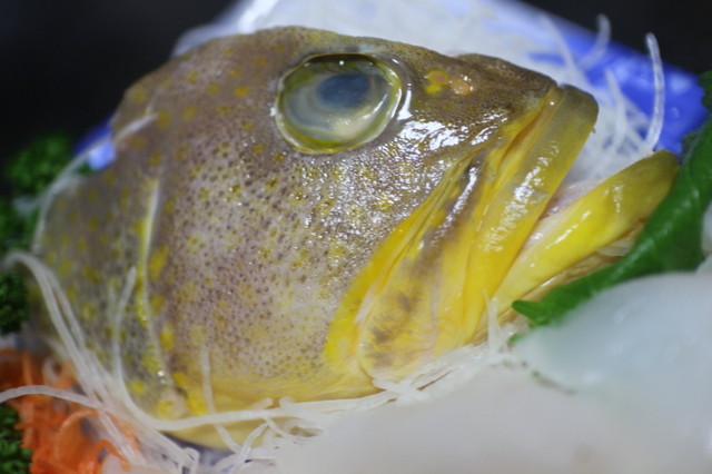 今日のお刺身 黄羽太 キハタ レトロゲーマー リックドムの日記 今日のお刺身 黄羽太 キハタ レトロゲーマー リックドムの日記