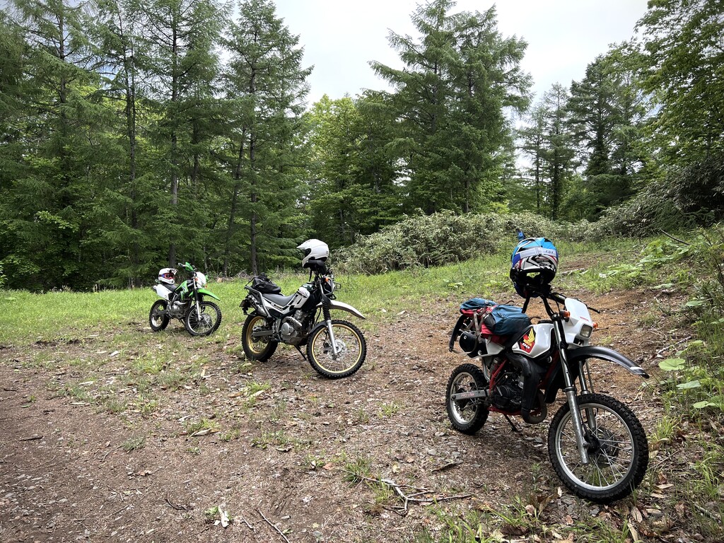 久々t E林道ツーリング Ride N Roll