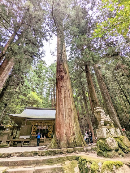 ryuketsutemple1