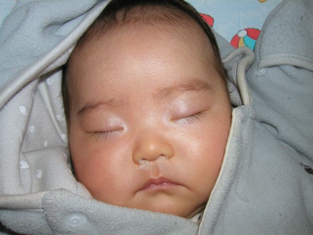 お友達のおうちへ りえ太郎と愉快な仲間たち