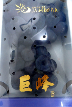 rie20403