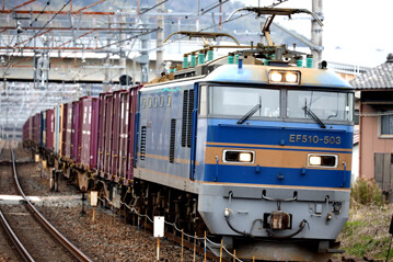 rie21772