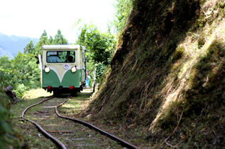 rie5294.jpg