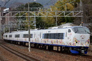 rie21503