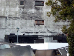 rie7728.jpg