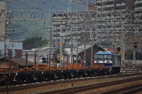 rie806.jpg
