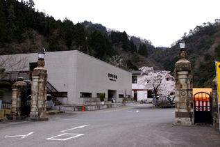 rie8154.jpg