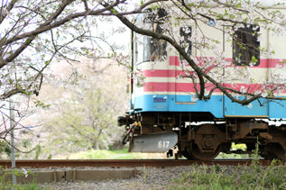 rie4537.jpg