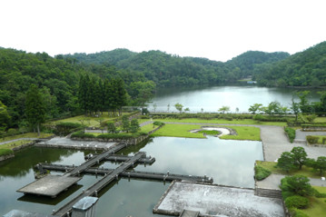rie20079