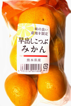 rie20873