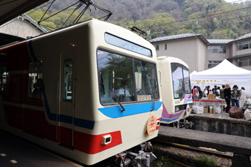rie19599