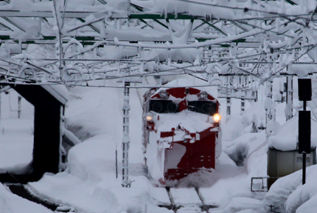 rie10155.jpg