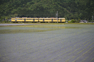 rie12913.jpg