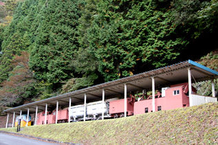 rie5668.jpg