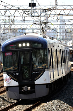 rie19730