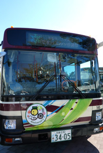 rie18353