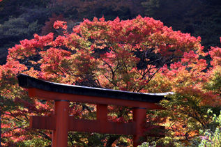 rie2819.jpg