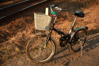 rie12381.jpg