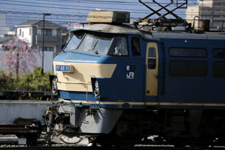 rie10743.jpg