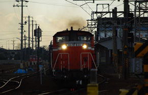 rie830.jpg
