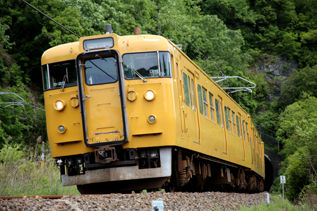 rie17453