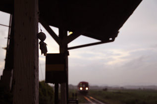 rie6848.jpg