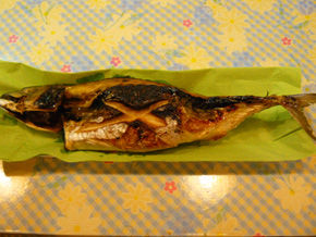 rie773.jpg