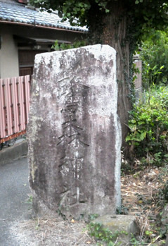 rie20469
