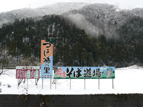 rie791.jpg