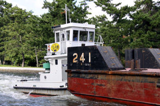 rie5505.jpg