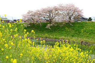 rie12728.jpg