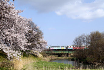 rie2007.jpg