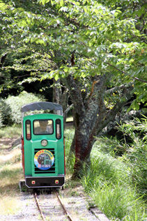 rie3788.jpg