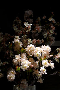 rie15046.jpg