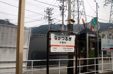rie1537.jpg