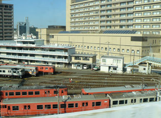rie12393.jpg