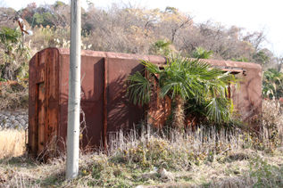 rie7756.jpg