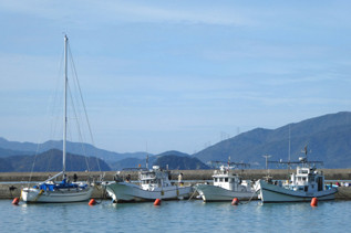rie18560