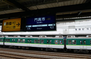 rie16355
