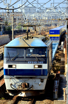 rie29584