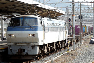 rie18190