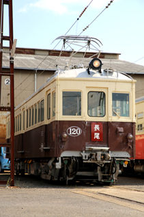 rie17528