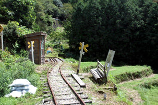 rie5295.jpg