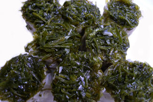 rie14925.jpg