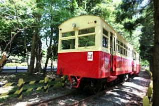 rie10963.jpg